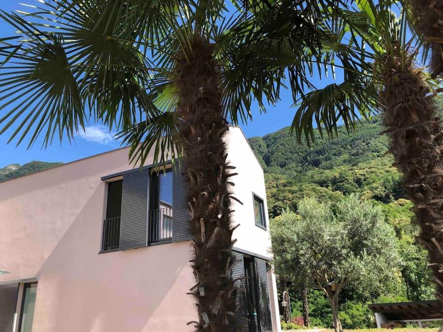 Sinergia E Benessere Apartment Sant'Antonio