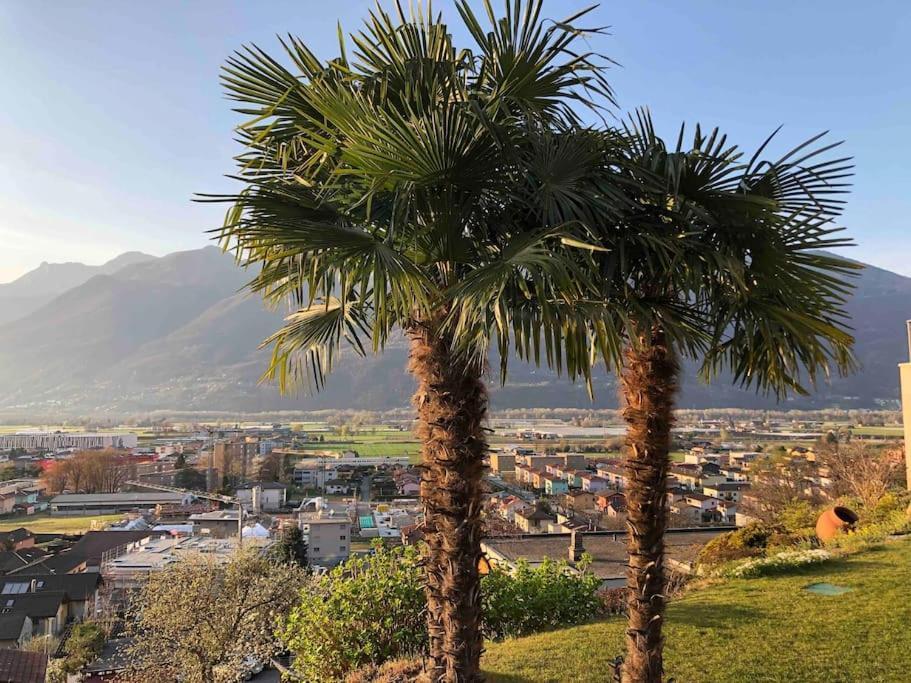 Apartment Sinergia E Benessere Sant'Antonio