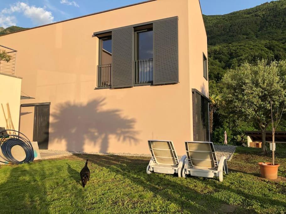 Sinergia E Benessere Sant'Antonio