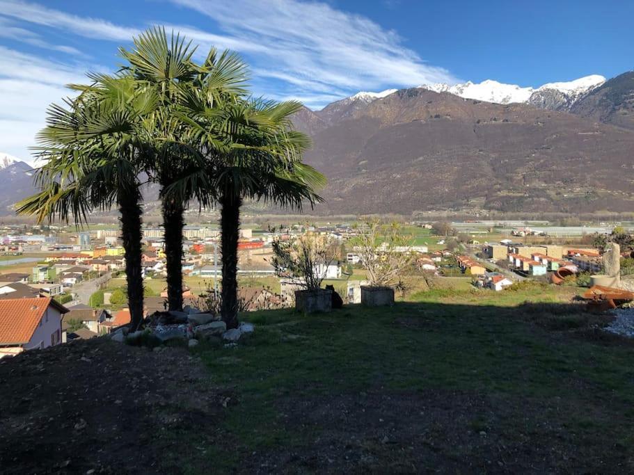 Sinergia E Benessere Sant'Antonio