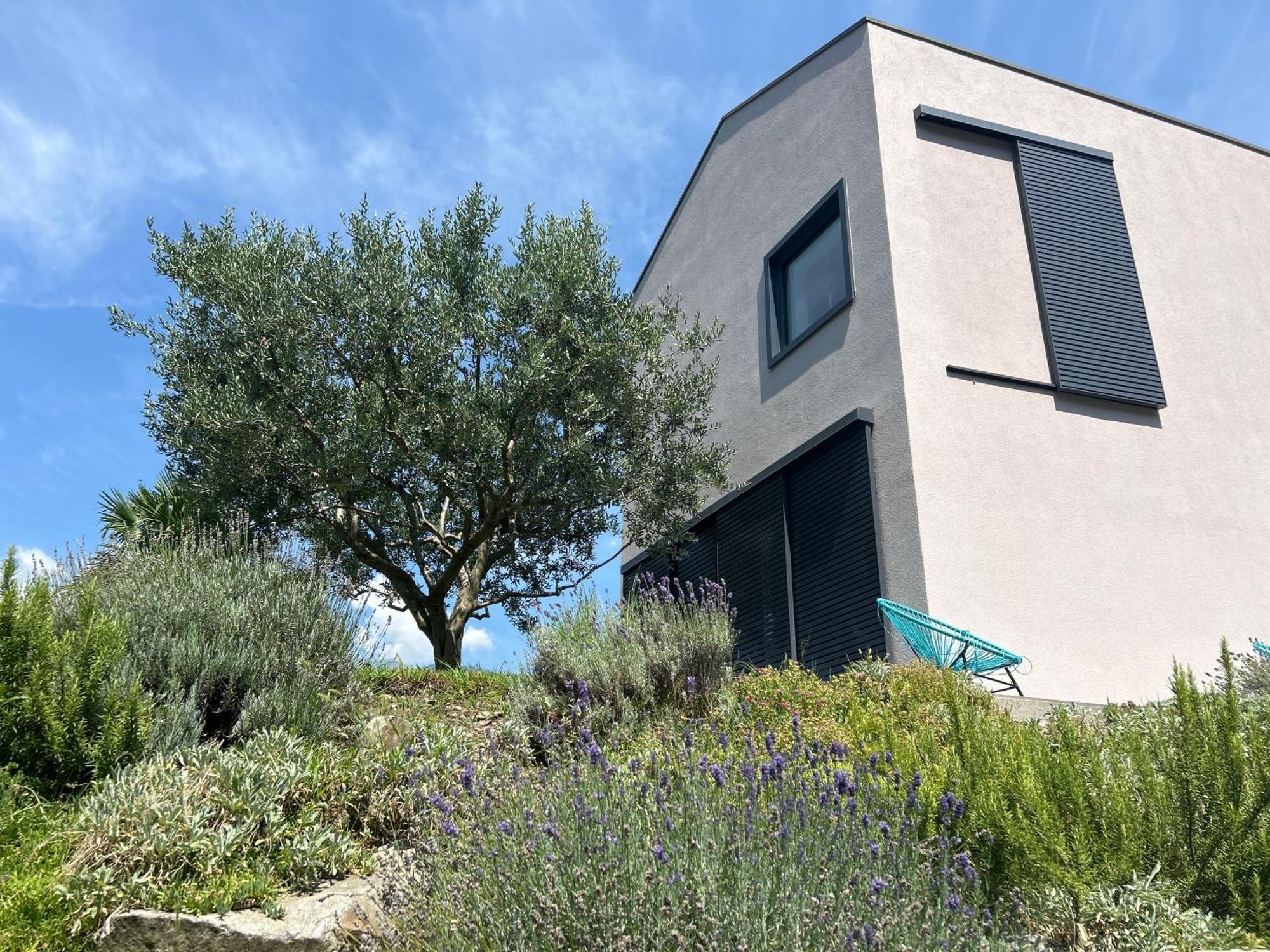 Sinergia E Benessere Apartment